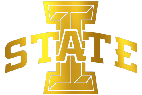Iowa State Cyclones GOLD CHROME MIRROR Team Logo Premium DieCut Vinyl Decal PICK SIZE