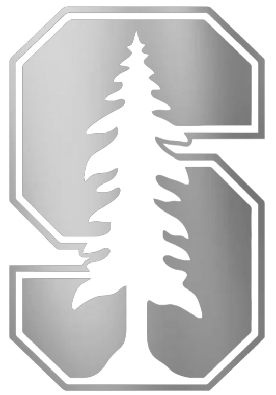 Stanford Cardinal SILVER CHROME MIRROR Team Logo Premium DieCut Vinyl Decal PICK SIZE