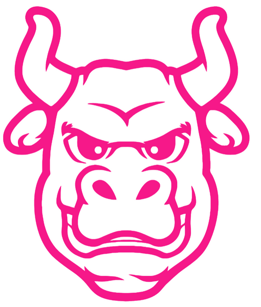 South Florida Bulls Hot Pink Mascot Logo Premium DieCut Vinyl Decal PICK SIZE