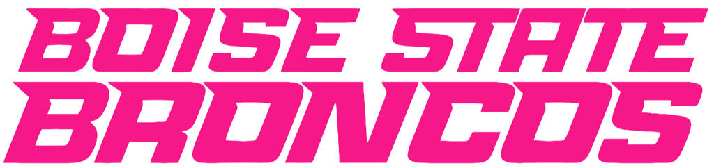 Boise State Broncos Hot Pink Team Name Logo Premium DieCut Vinyl Decal PICK SIZE