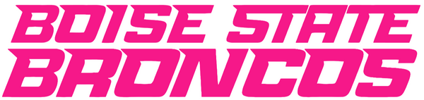 Boise State Broncos Hot Pink Team Name Logo Premium DieCut Vinyl Decal PICK SIZE