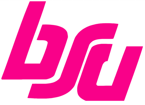 Boise State Broncos Hot Pink Retro Throwback Logo Premium DieCut Vinyl Decal PICK SIZE