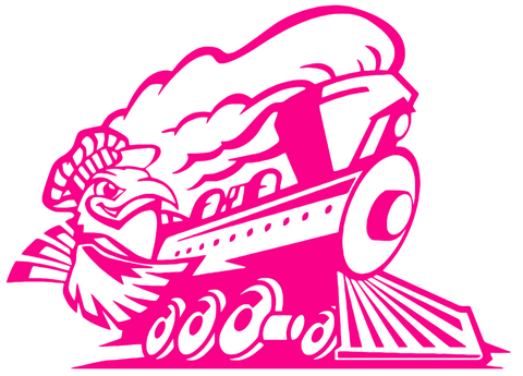 Chattanooga Mocs Hot Pink Retro Throwback Logo Premium DieCut Vinyl Decal PICK SIZE