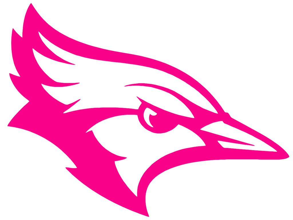 Creighton Blue Jays Hot Pink Mascot Logo Premium DieCut Vinyl Decal PICK SIZE