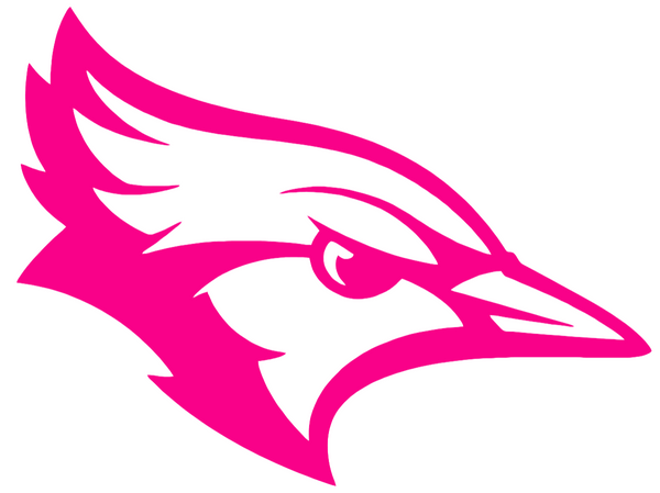 Creighton Blue Jays Hot Pink Mascot Logo Premium DieCut Vinyl Decal PICK SIZE