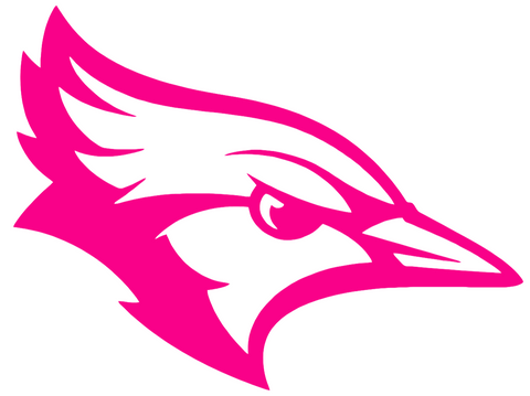 Creighton Blue Jays Hot Pink Mascot Logo Premium DieCut Vinyl Decal PICK SIZE