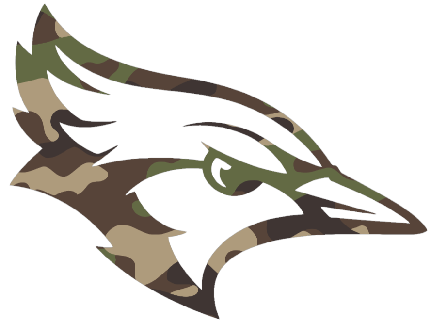 Creighton Blue Jays Woodland Camo Camouflage Mascot Logo Premium DieCut Vinyl Decal PICK SIZE