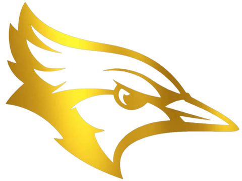 Creighton Blue Jays GOLD CHROME MIRROR Mascot Logo Premium DieCut Vinyl Decal PICK SIZE