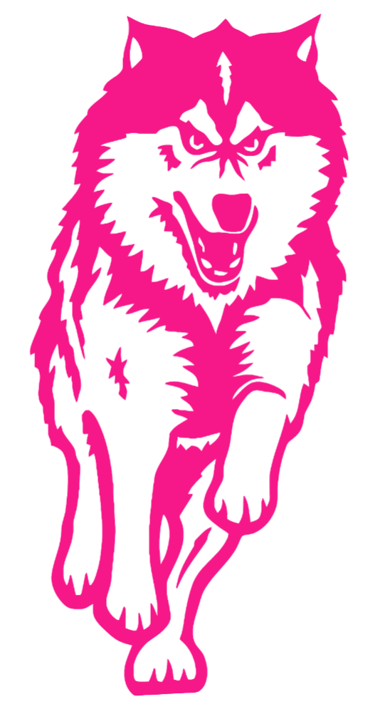Northern Illinois Huskies Hot Pink Retro Throwback Logo Premium DieCut Vinyl Decal PICK SIZE