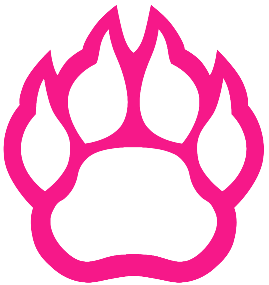 Northern Illinois Huskies HOT PINK Paw Print Logo Premium DieCut Vinyl Decal PICK SIZE