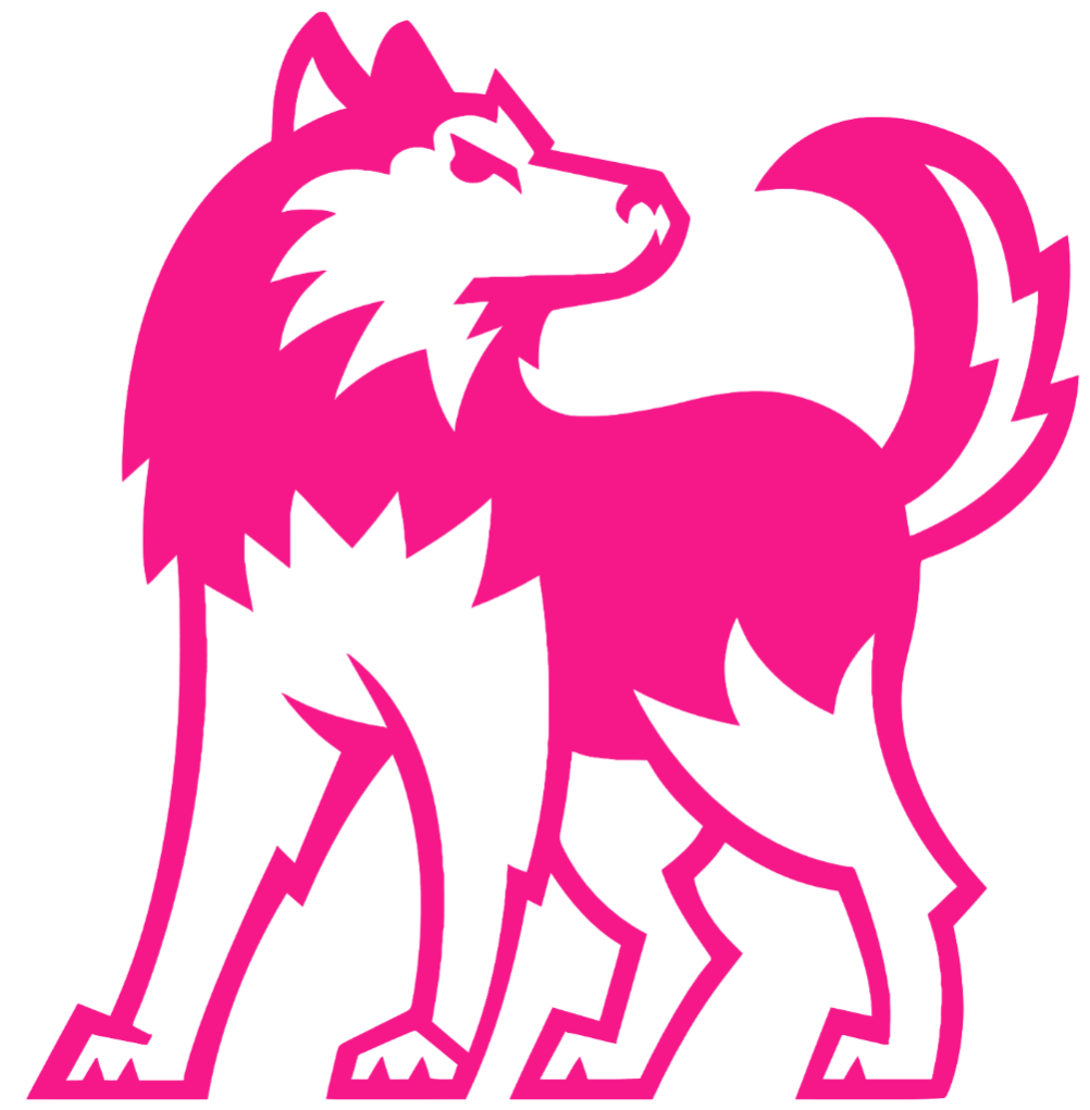 Northern Illinois Huskies HOT PINK Alternate Team Logo Premium DieCut Vinyl Decal PICK SIZE
