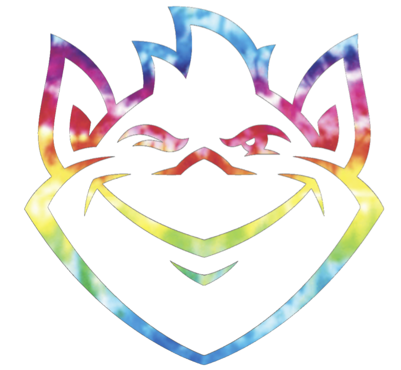 Saint Louis Billikens Team Logo Crucial Catch Cancer Tie Dye Vinyl Decal PICK SIZE