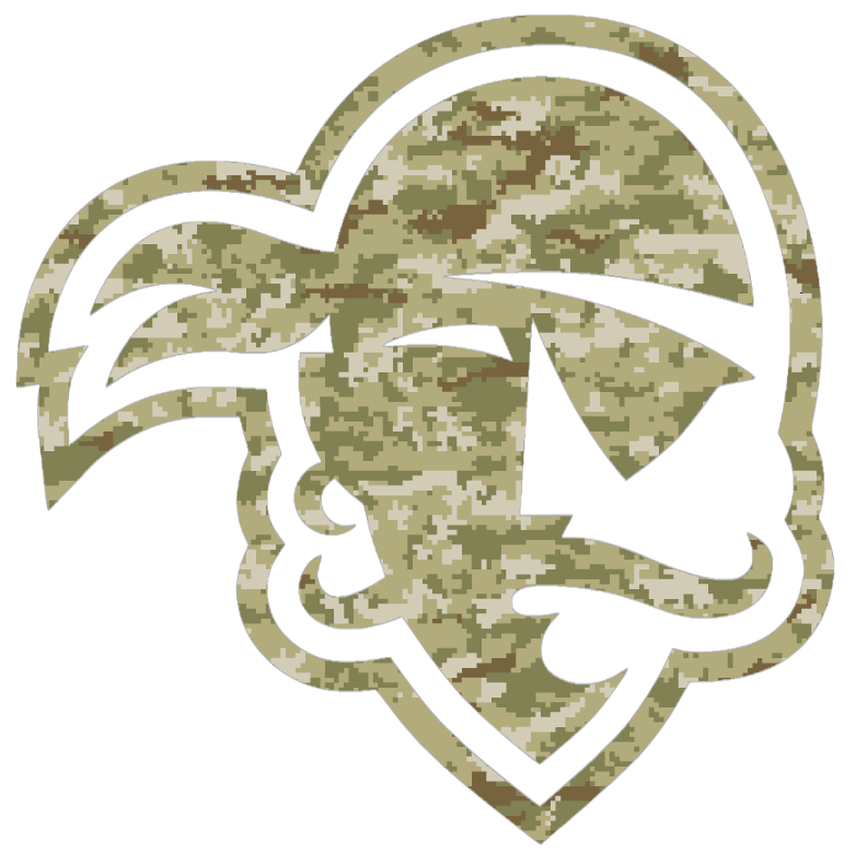 Seton Hall Pirates Team Logo Salute to Service Camouflage Camo Vinyl Decal PICK SIZE