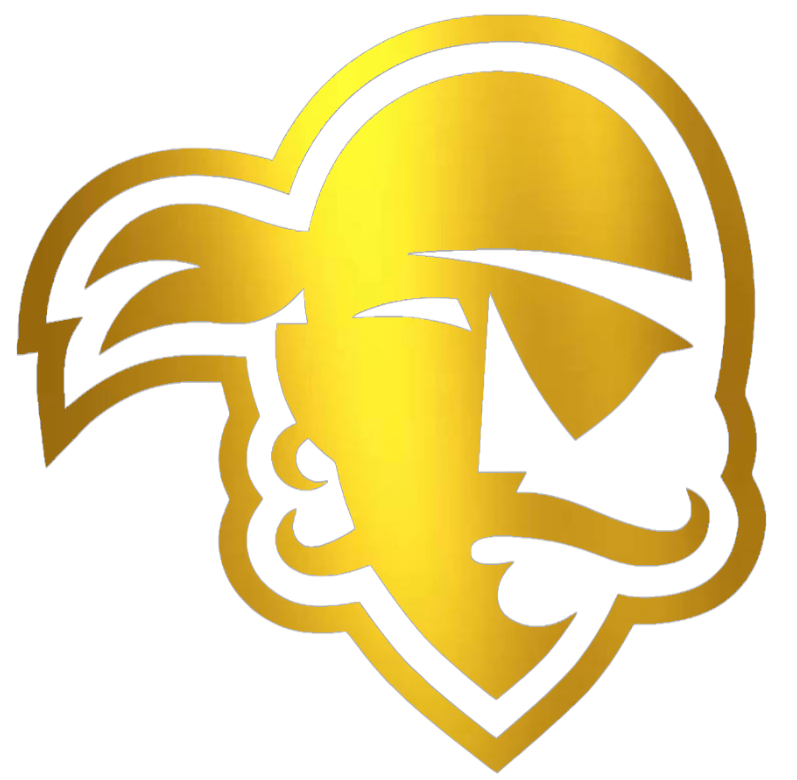 Seton Hall Pirates GOLD CHROME MIRROR Team Logo Premium DieCut Vinyl Decal PICK SIZE