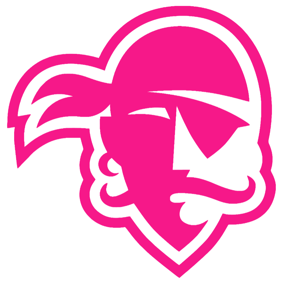Seton Hall Pirates Hot Pink Team Logo Premium DieCut Vinyl Decal PICK SIZE