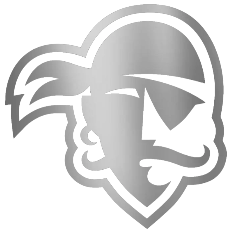 Seton Hall Pirates SILVER CHROME MIRROR Team Logo Premium DieCut Vinyl Decal PICK SIZE