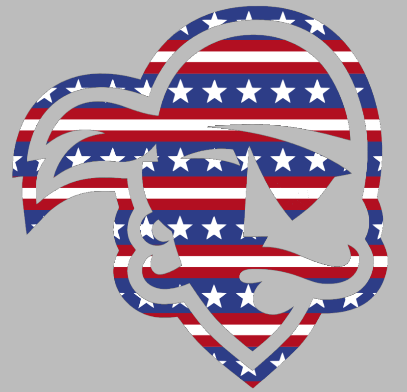 Seton Hall Pirates Team Logo Stars & Stripes USA American Flag Vinyl Decal PICK SIZE
