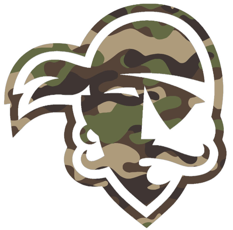 Seton Hall Pirates Woodland Camo Camouflage Team Logo Premium DieCut Vinyl Decal PICK SIZE