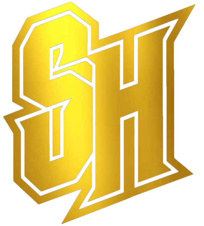 Seton Hall Pirates GOLD CHROME MIRROR SH Logo Premium DieCut Vinyl Decal PICK SIZE