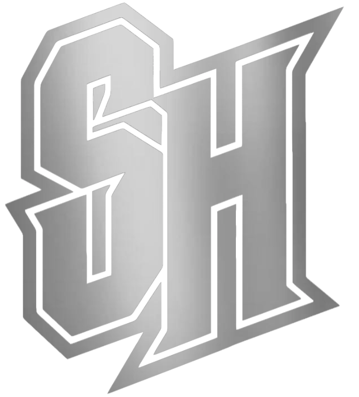 Seton Hall Pirates SILVER CHROME MIRROR SH Logo Premium DieCut Vinyl Decal PICK SIZE