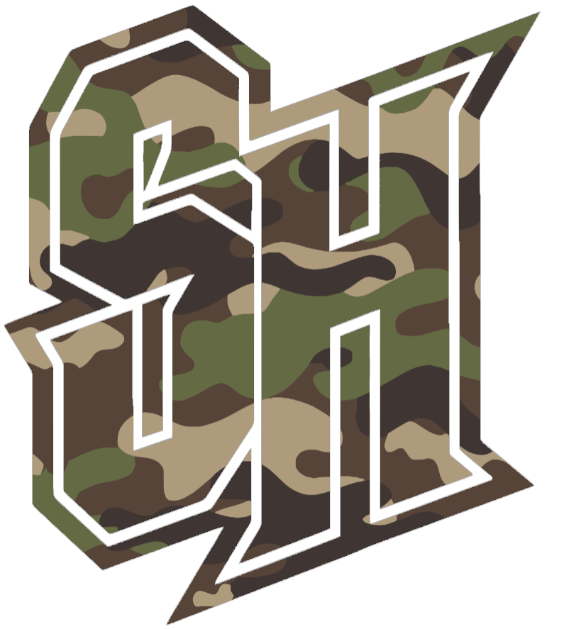 Seton Hall Pirates Woodland Camo Camouflage SH Logo Premium DieCut Vinyl Decal PICK SIZE
