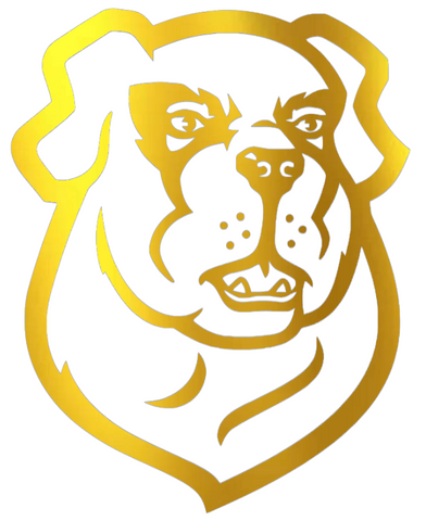 Siena Saints GOLD CHROME MIRROR Team Logo Premium DieCut Vinyl Decal PICK SIZE