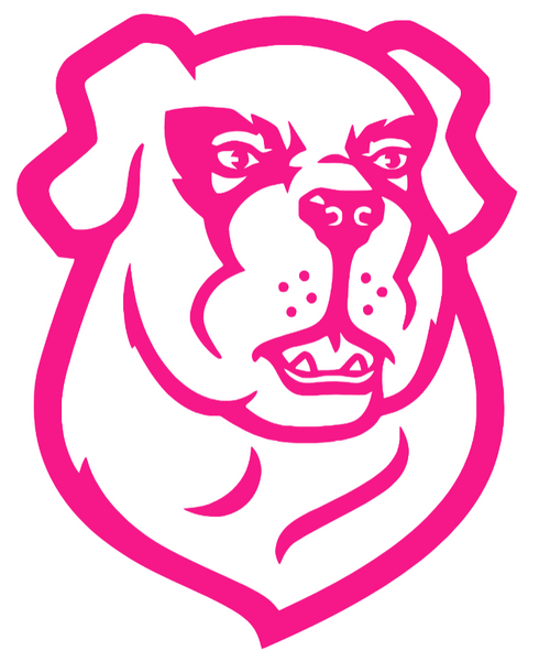 Siena Saints Hot Pink Team Logo Premium DieCut Vinyl Decal PICK SIZE