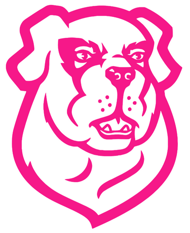 Siena Saints Hot Pink Team Logo Premium DieCut Vinyl Decal PICK SIZE