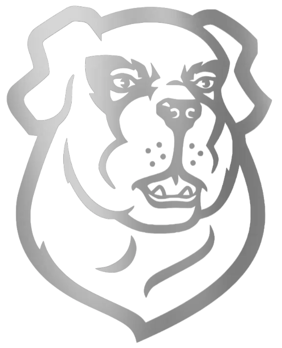 Siena Saints SILVER CHROME MIRROR Team Logo Premium DieCut Vinyl Decal PICK SIZE