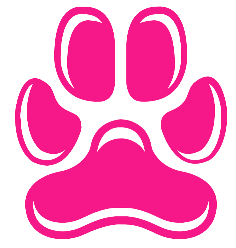 Siena Saints Hot Pink Paw Print Logo Premium DieCut Vinyl Decal PICK SIZE