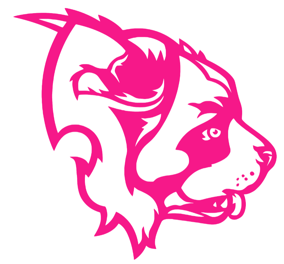 Siena Saints Hot Pink Retro Throwback Logo Premium DieCut Vinyl Decal PICK SIZE