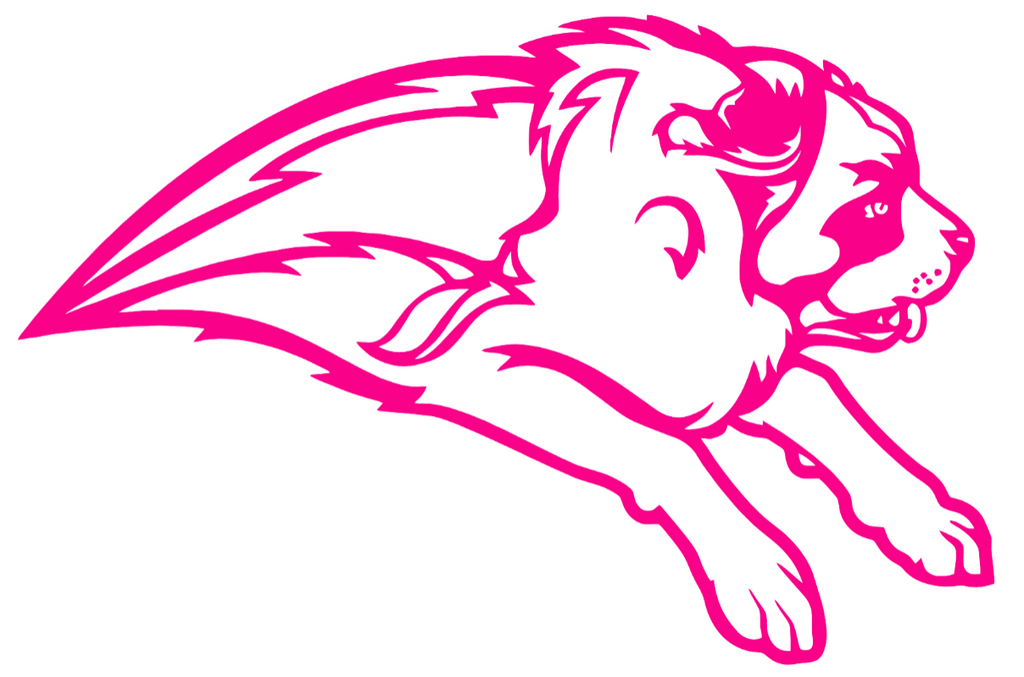 Siena Saints Hot Pink Retro Throwback Logo Premium DieCut Vinyl Decal PICK SIZE
