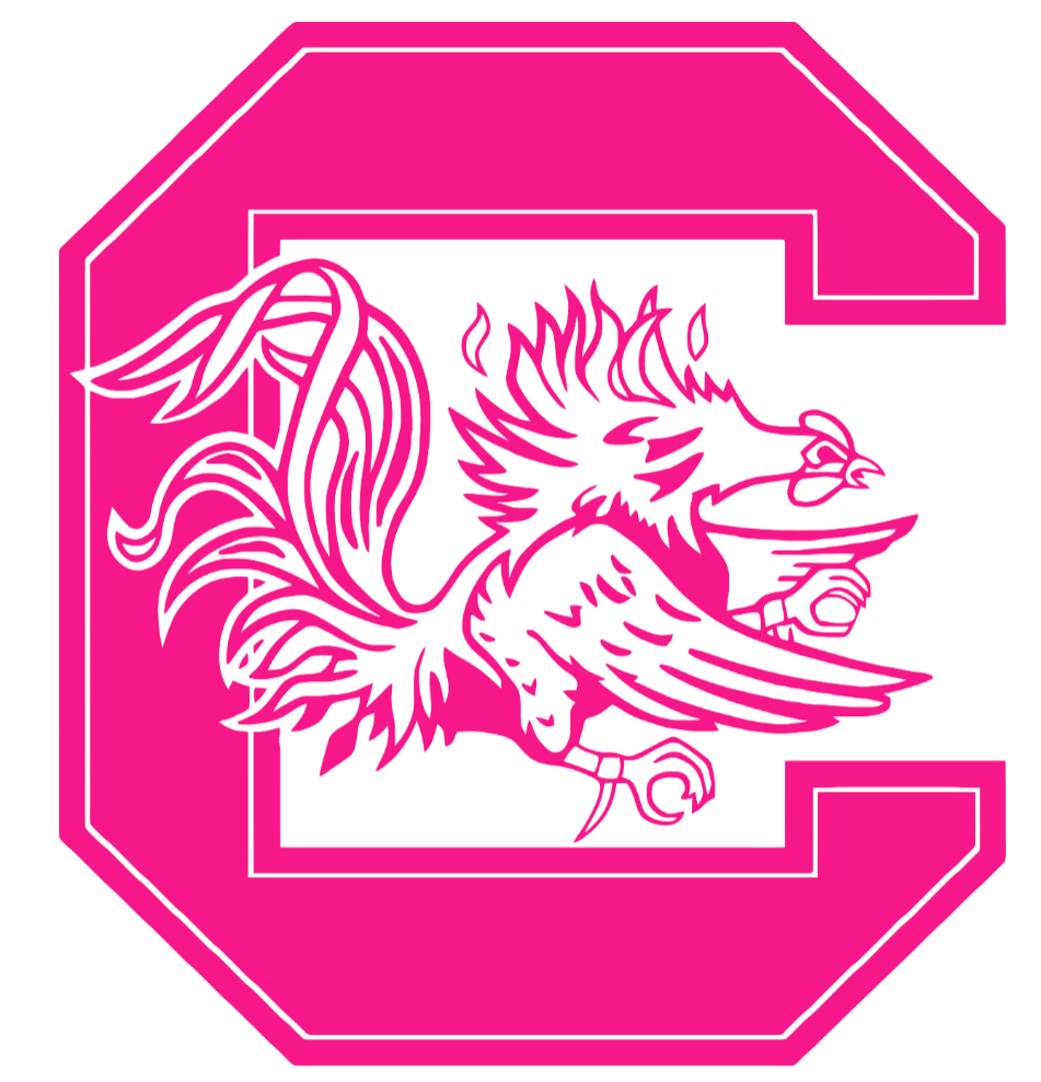 South Carolina Gamecocks Hot Pink Team Logo Premium DieCut Vinyl Decal PICK SIZE