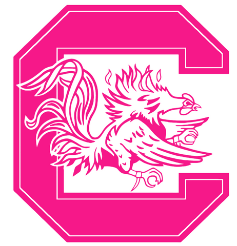 South Carolina Gamecocks Hot Pink Team Logo Premium DieCut Vinyl Decal PICK SIZE