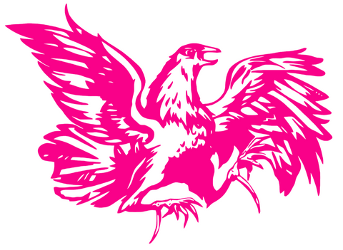 South Carolina Gamecocks Hot Pink Retro Throwback Logo Premium DieCut Vinyl Decal PICK SIZE