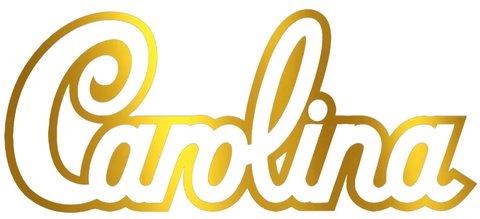 South Carolina Gamecocks GOLD CHROME MIRROR Script Logo Premium DieCut Vinyl Decal PICK SIZE