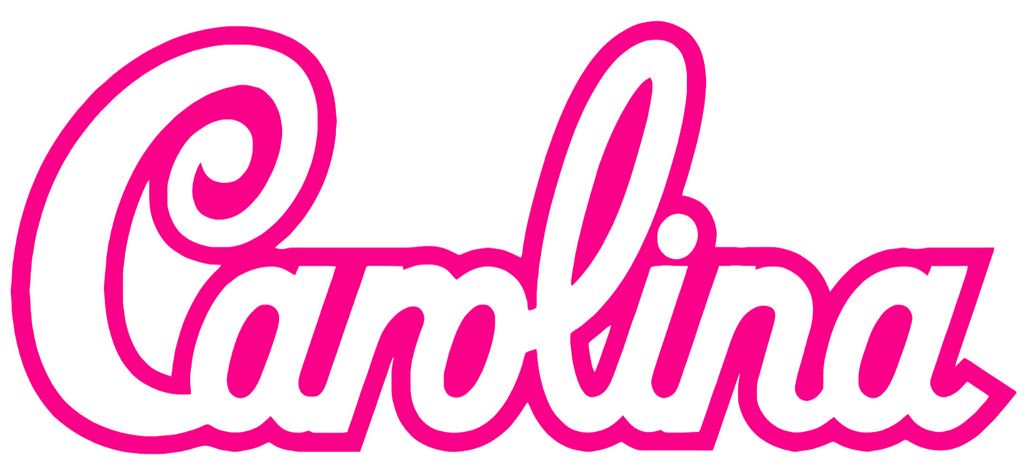South Carolina Gamecocks Hot Pink Script Logo Premium DieCut Vinyl Decal PICK SIZE