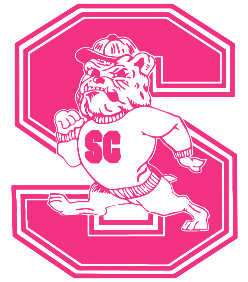 South Carolina State Bulldogs HOT PINK Team Logo Premium DieCut Vinyl Decal PICK SIZE