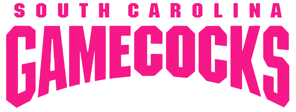 South Carolina Gamecocks Hot Pink Team Name Logo Premium DieCut Vinyl Decal PICK SIZE