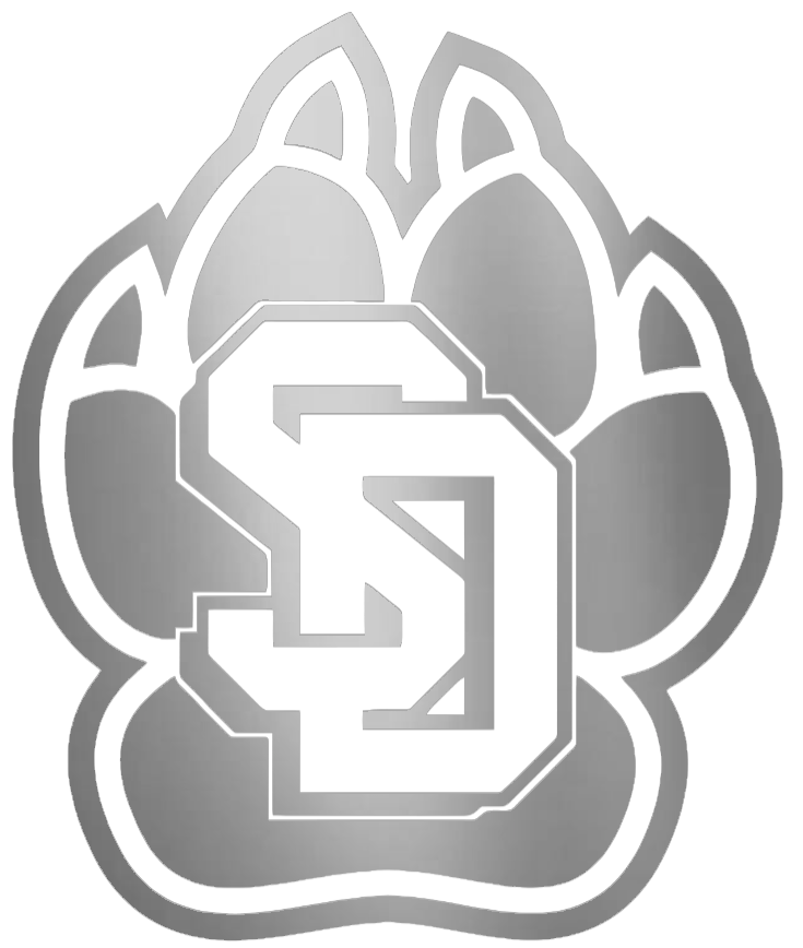 South Dakota Coyotes SILVER CHROME MIRROR Team Logo Premium DieCut Vinyl Decal PICK SIZE