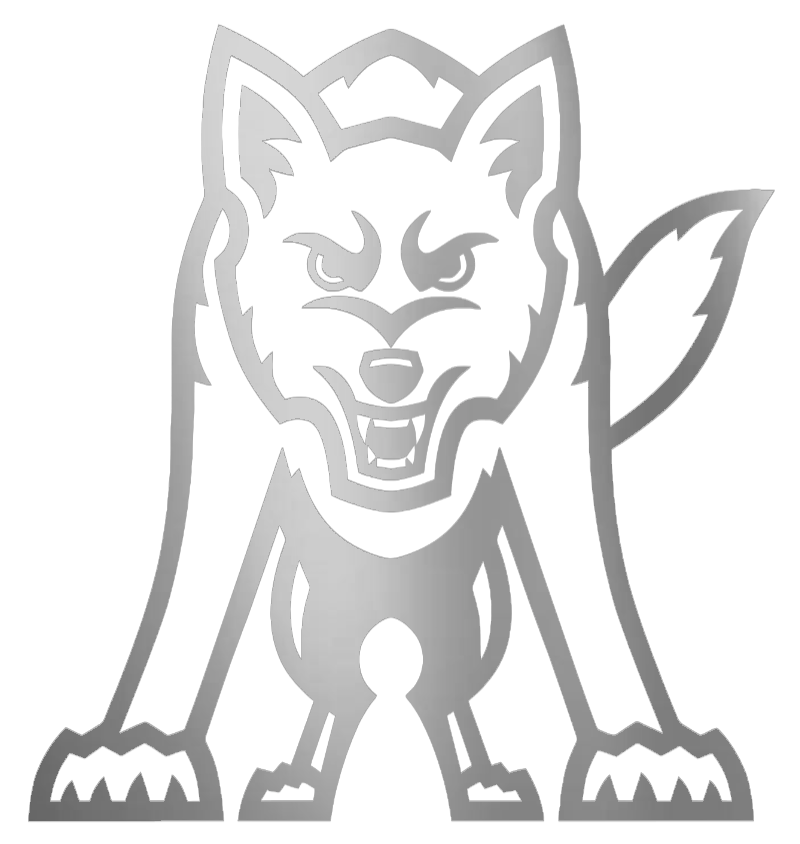 South Dakota Coyotes SILVER CHROME MIRROR Retro Throwback Logo Premium DieCut Vinyl Decal PICK SIZE