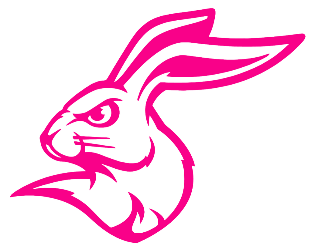 South Dakota State Jackrabbits Hot Pink Alternate Logo Premium DieCut Vinyl Decal PICK SIZE