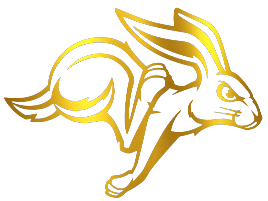 South Dakota State Jackrabbits GOLD CHROME MIRROR Team Logo Premium DieCut Vinyl Decal PICK SIZE