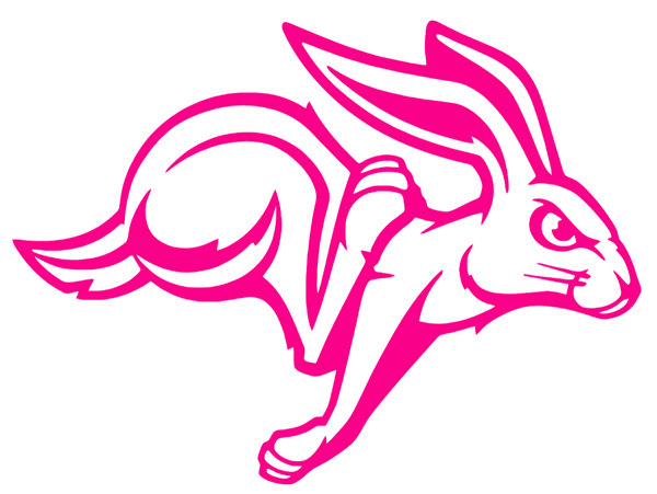 South Dakota State Jackrabbits Hot Pink Team Logo Premium DieCut Vinyl Decal PICK SIZE