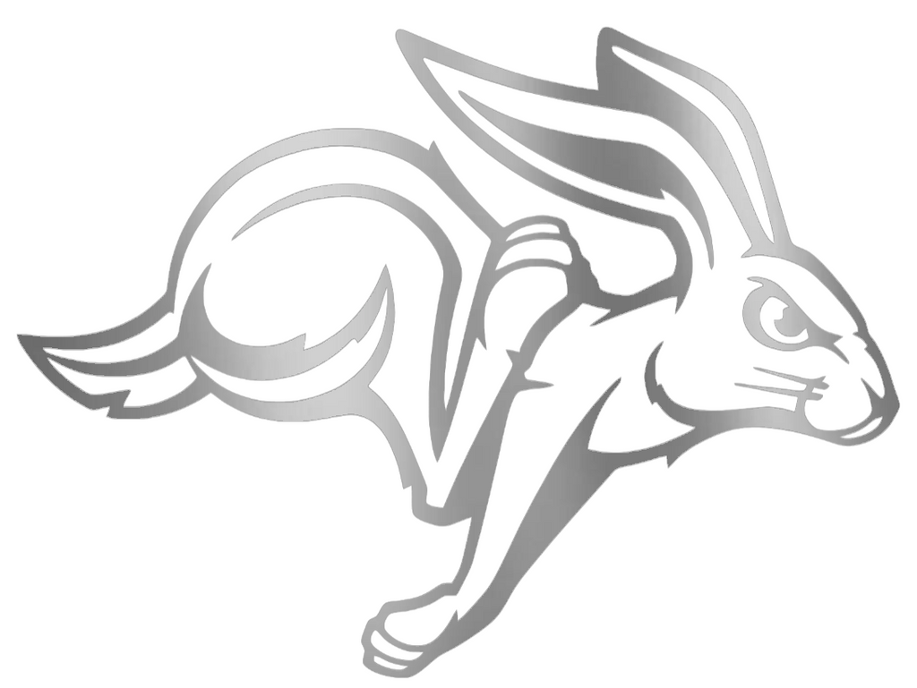 South Dakota State Jackrabbits SILVER CHROME MIRROR Team Logo Premium DieCut Vinyl Decal PICK SIZE