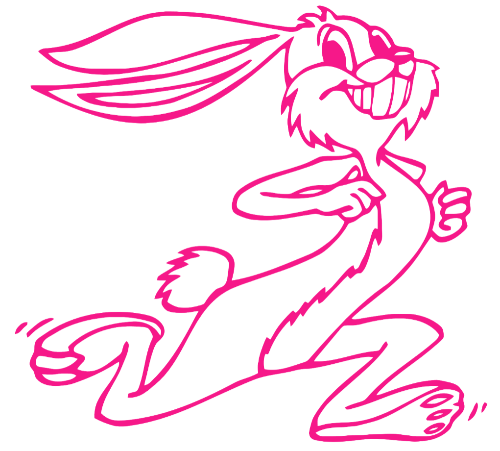South Dakota State Jackrabbits Hot Pink Retro Throwback Logo Premium DieCut Vinyl Decal PICK SIZE
