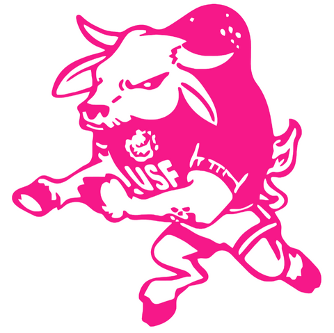 South Florida Bulls Hot Pink Retro Throwback Logo Premium DieCut Vinyl Decal PICK SIZE