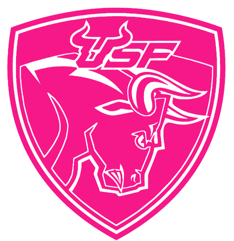 South Florida Bulls Hot Pink Retro Throwback Logo Premium DieCut Vinyl Decal PICK SIZE