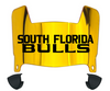 South Florida Bulls Mini Football Helmet Visor Shield w/ Clips - PICK VISOR & LOGO COLOR