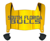 South Florida Bulls Mini Football Helmet Visor Shield w/ Clips - PICK VISOR & LOGO COLOR